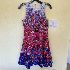 Maggy London petites floral dress midi size 8P